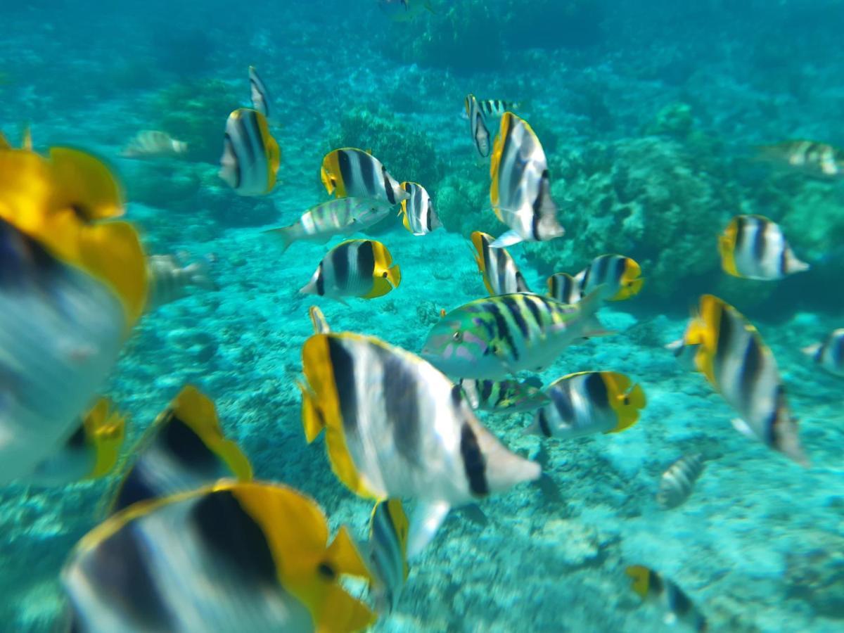 Fare O'Eden Villa Bora Bora Buitenkant foto